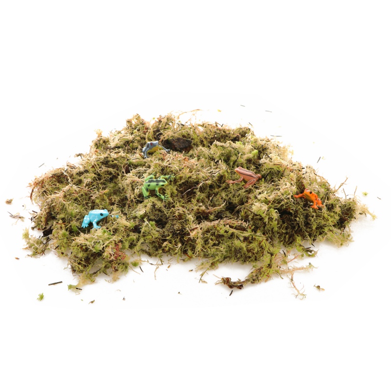 Komodo Habitat Moss 3l - live sphagnum moss 400g